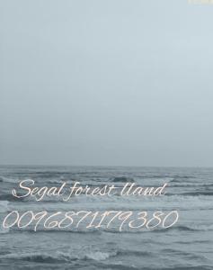 Una imagen del océano con las palabras "Isla Forestal Social en el extranjero" en Segal Salalah-Forest Island-Hawana, en Salalah