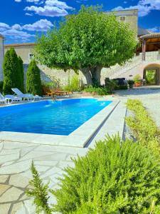 a swimming pool with a tree in a yard at Villa Angiolina in Višnjan +15 photos