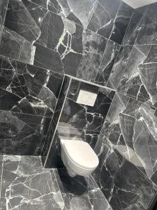 a black marble bathroom with a toilet in it at Hôtel Gex in Gex