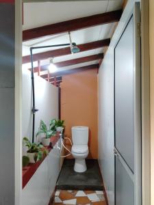 a bathroom with a toilet and plants in it at wellassa homestay in Badulla