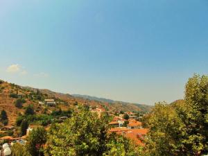 
a large hillside with trees and houses at Hellas Hotel in Kakopetria
