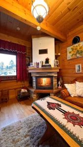 a living room with a fireplace in a log cabin at Góralska Chata & Spa in Muszyna