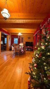 a living room with a christmas tree in a room at Góralska Chata & Spa in Muszyna