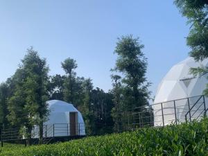 two domes in a field with trees in the background at Vythiri Tea valley in Vythiri