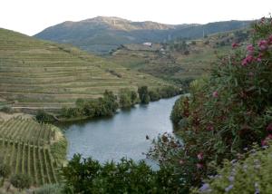 a view of a river in a valley next to a mountain at Quinta do Tedo in Folgosa