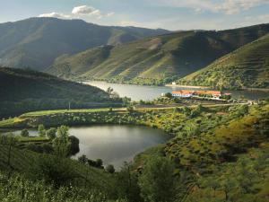 una vista de un río en un valle con un viñedo en Quinta do Tedo, en Folgosa