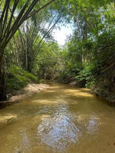 a river in the middle of a forest at บ้านสวนริมธาร โฮมสเตย์ ท้ายเหมือง พังงา 