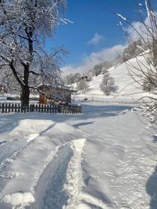 Gasthof Neumeister v zimě