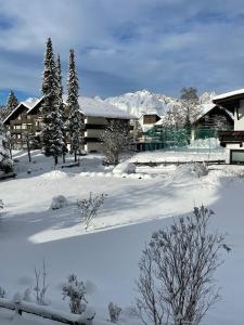 a yard covered in snow with trees and buildings at Appartement Leo in Seefeld in Tirol