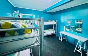 a blue room with two bunk beds and a desk at Crashpalace Backpackers in Rotorua