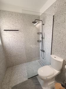 uma casa de banho com um chuveiro e um WC. em Two Bedroom Condo - Just Renovated Great Location em Nicósia