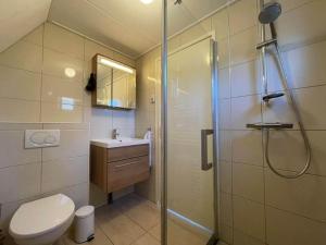 a bathroom with a shower and a toilet and a sink at Holiday House in Friesland with Garden in Sint Nicolaasga +29 photos