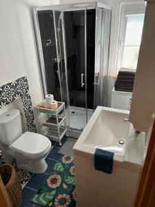 a bathroom with a toilet and a sink and a shower at Domek nad Wkrą in Popielżyn Górny +68 photos