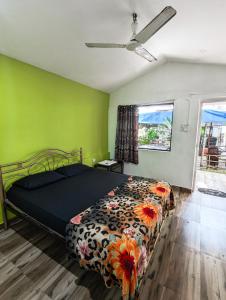 um quarto com uma cama num quarto com paredes verdes em Nature of Arambol em Arambol