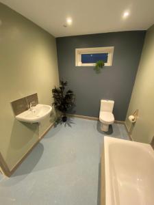 a bathroom with a sink and a toilet at luxury pod with hot tub in Clodock