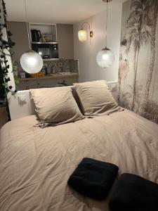 a bed with two pillows and two lights on it at Studio Jungle-Calme rue piétonne in Limoges