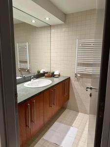 Lodge Euphoria Studio في بوروفتس: حمام مع حوض ومرآة