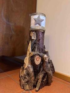 um toco de árvore com um frasco em cima em Rancate charme apartment em Mendrisio