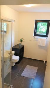 a bathroom with a toilet and a sink and a window at Schicke u. moderne FeWo zum Odenwald in Gorxheim