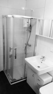 a bathroom with a shower and a sink at Schicke u. moderne FeWo zum Odenwald in Gorxheim