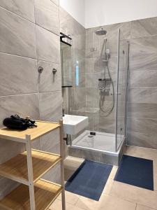 W łazience znajduje się prysznic i umywalka. w obiekcie New Favoriten w Wiedniu