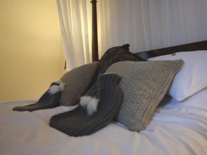 a bed with two cats laying on the pillows at 1 Bed in Rochester 49414 in Rochester