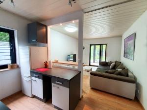 eine Küche und ein Wohnzimmer mit einem Sofa in der Unterkunft Cozy Apartments in Limeshain in Hainchen