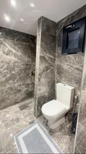 a bathroom with a toilet and a tv on the wall at Theoni Luxury Apartment in Kalavrita +11 photos
