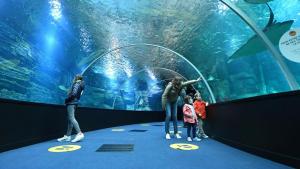 a group of people standing in front of an aquarium at Les Gîtes de la Warenne - Gîte 2 in Saint-Étienne-au-Mont +1 photo