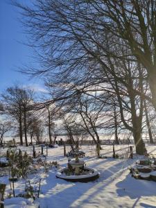 un parque cubierto de nieve con árboles y una fuente en Watt, en Karolinenkoog