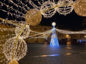 a christmas tree and lights in a square at night at Rekreační Domek Litenčice na Jižní Moravě in LitenÄice
