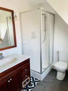 a bathroom with a shower and a toilet and a sink at La Maison du Temps Retrouvé à Wissant in Wissant