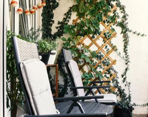 2 sillas sentadas en un patio con plantas en La Maison, en Niš