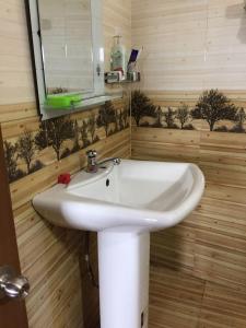 a bathroom with a white sink and a mirror at Kandy Mount View hotel in Peradeniya