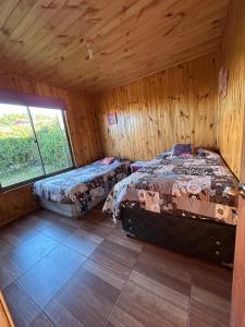 two beds in a room with wooden walls at Cabaña en chovellen in Pelluhue