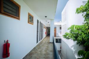 korytarz domu z roślinami w obiekcie Ridge Estates w mieście Dar es Salaam
