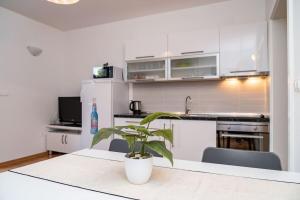 Кухня или мини-кухня в Marea 2, apartment next to the beach
