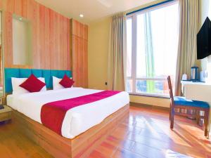 Hotel Anju Shree Inn-Near Jaipur Airport Terminal 1客房内的一张或多张床位