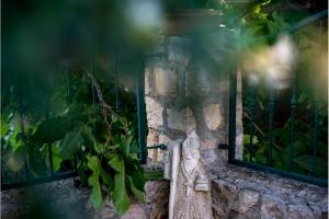 Afbeelding uit fotogalerij van La Dorada Holiday Home in Trsteno