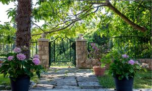 Afbeelding uit fotogalerij van La Dorada Holiday Home in Trsteno