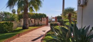 einen Gehweg mit Palmen im Hof in der Unterkunft Appartamento Gardenhouse in Acitrezza
