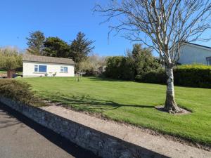 un albero nell'erba di fronte a una casa di Summerfield Lodge Garden Cottage a Youghal