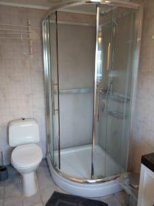 a bathroom with a toilet and a glass shower at Haus auf der Insel Skuløya in Ålesund