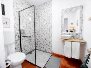 a bathroom with a shower and a toilet at VILA NATURA in Barreiro