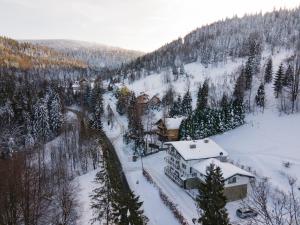 a house on a snow covered hill with trees at Apartamenty Willa Marko z sauną, grillowiskiem i rowerownią - Dream Apart in Szczyrk