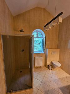 a bathroom with a shower and a toilet and a window at Kasztanowy Dwór in Cieszyn