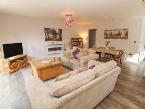 a living room with two couches and a tv at Causeway Hideaway in Sheffield