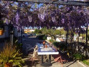 La casa barata, casa rural في Cedillo: طاولة نزهة تحت البرغولية مع الزهور الأرجوانية