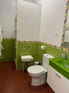 bagno verde con servizi igienici e lavandino di La casa barata, casa rural a Cedillo