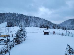 扎科帕內的住宿－Stan Relaksu - noclegi w Zakopanem，一片覆盖着树木和山脉的雪地